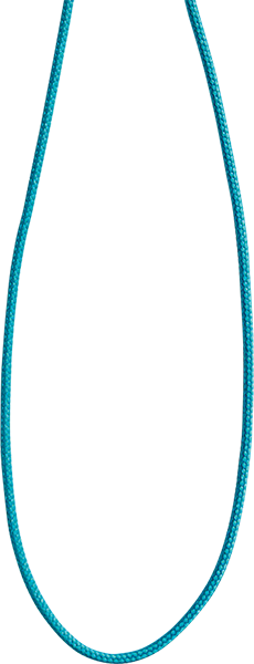 SIC-3136