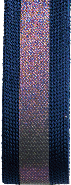 SIC-8721